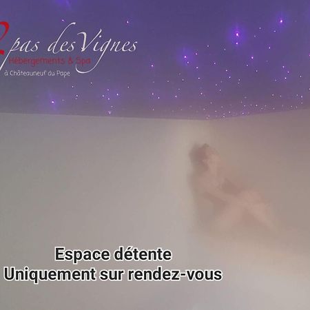 A 2 Pas Des Vignes, Hebergements Et Spa, Maison Numero 6, A Chateauneuf Du Pape Luaran gambar